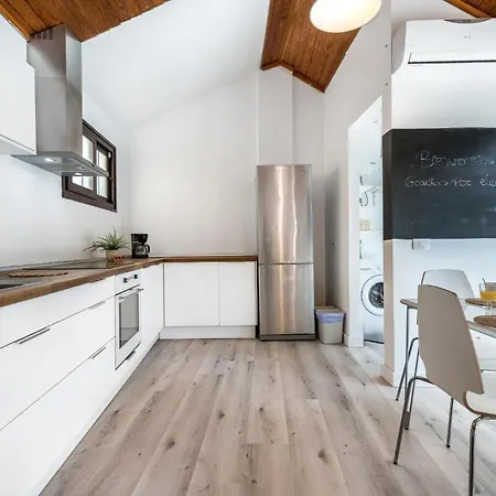 Casa Canaria Moderna Ingenio