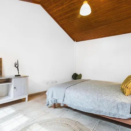 Casa Canaria Moderna * Ingenio