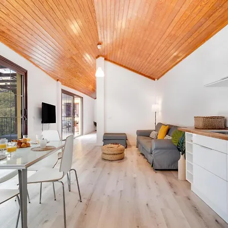 Casa Canaria Moderna Ingenio