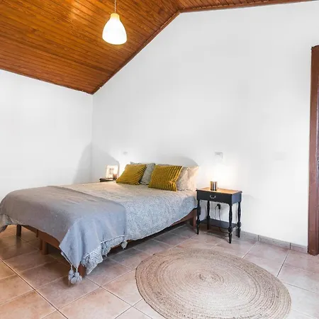 Casa Canaria Moderna Ingenio